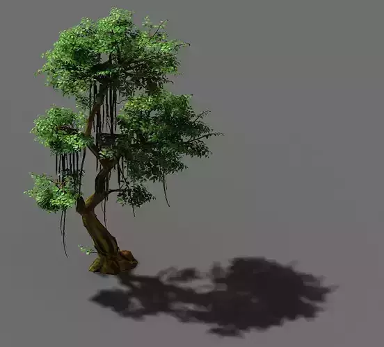 Fairy Forest-Banyan 07