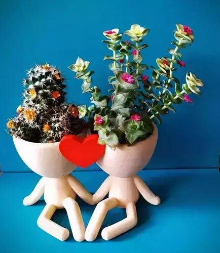 Robert Plant Pot couple with heart 3D print model