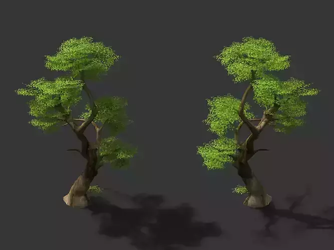 Fairy Trail-Banyan Tree 09