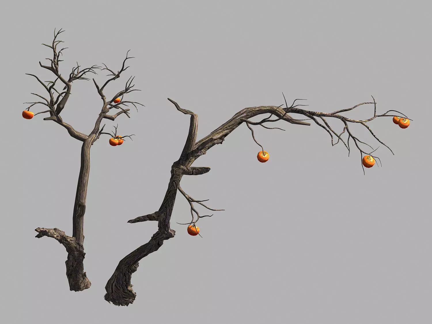 Fairy Trail Forest-Persimmon Tree 04 3D model