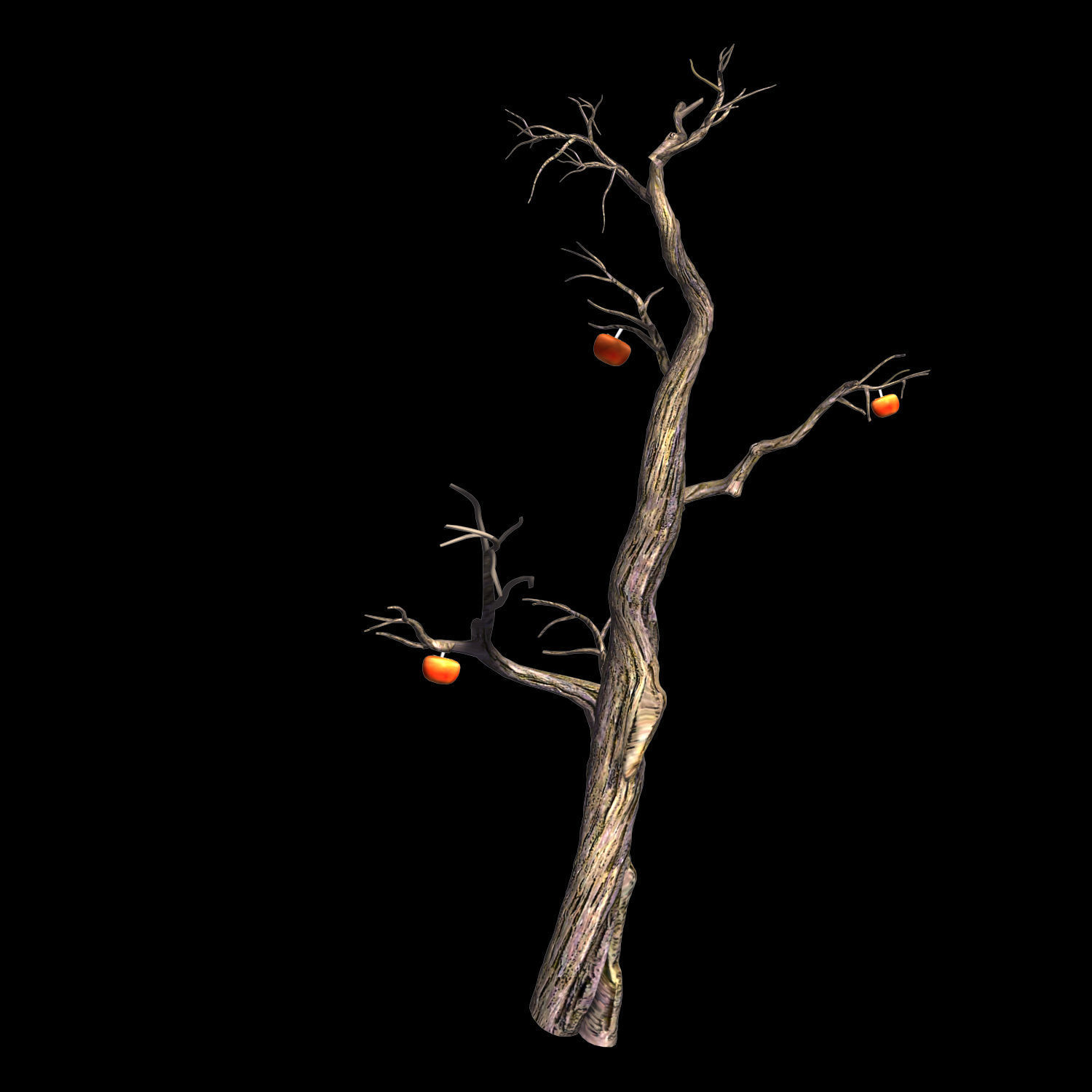 Wizard Forest-Persimmon Tree 05 3D model_1