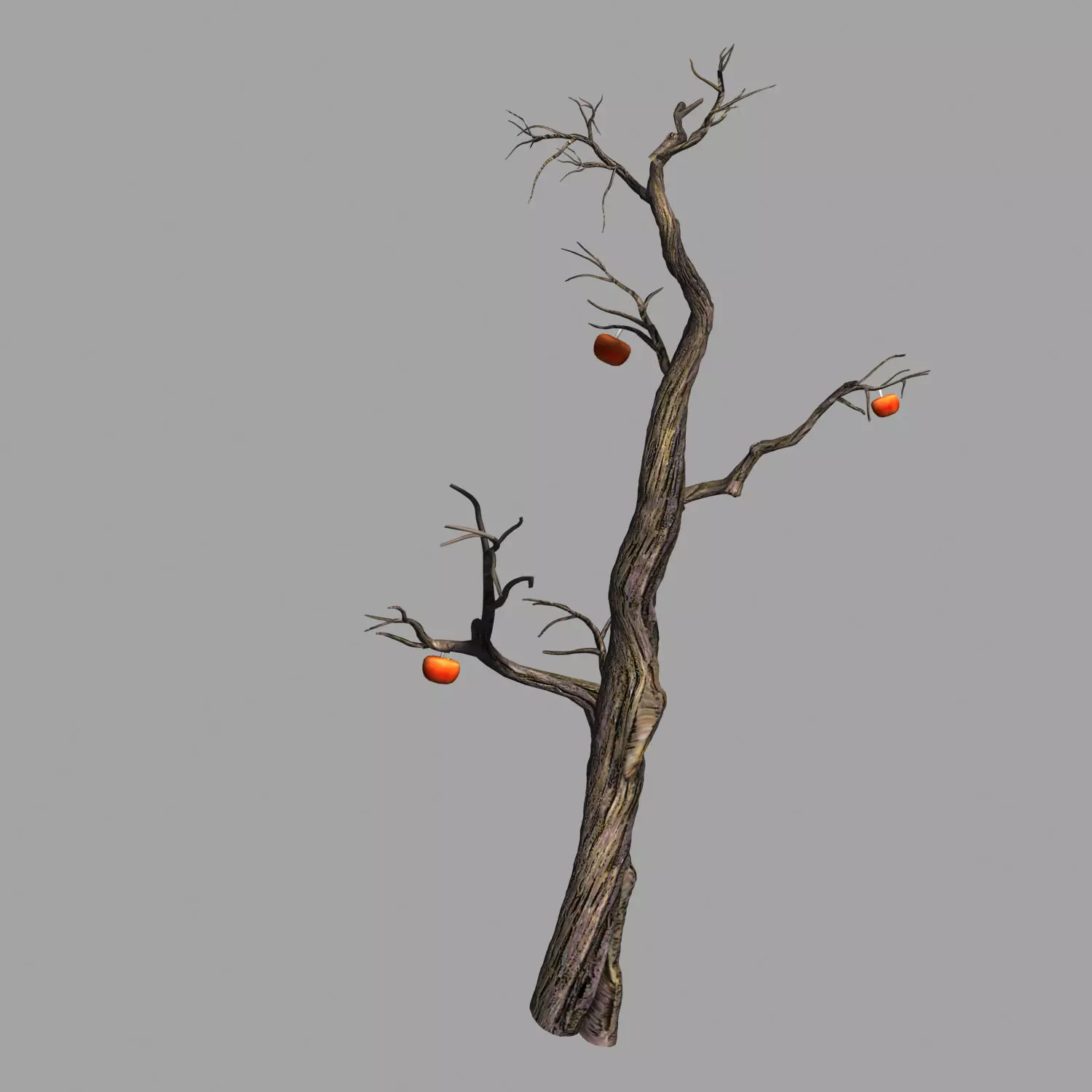 Wizard Forest-Persimmon Tree 05 3D model_0
