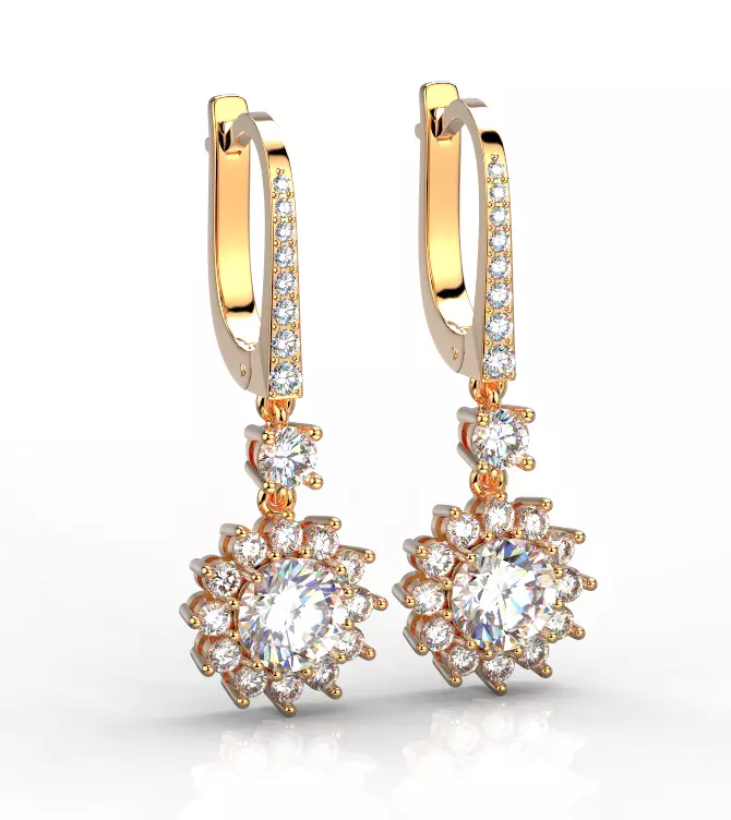 200120 E earrings 3D print model
