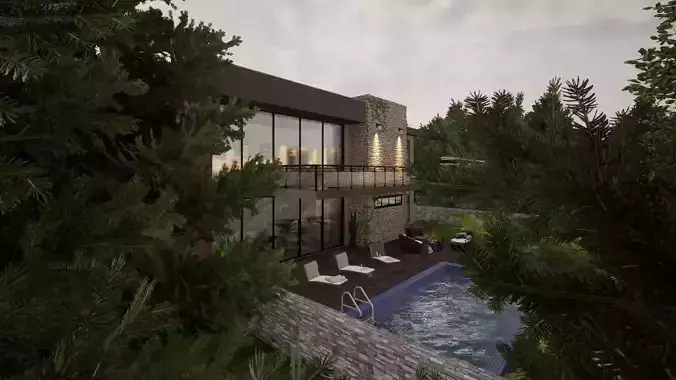 Modern house in wood