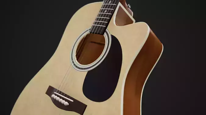 Acoustic Guitar