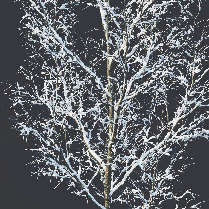 Common oak Nr4 H3-9m Winter Five tree set 3D model_3