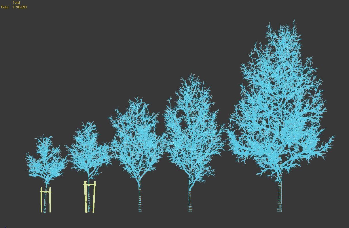 Common oak Nr4 H3-9m Winter Five tree set 3D model_6