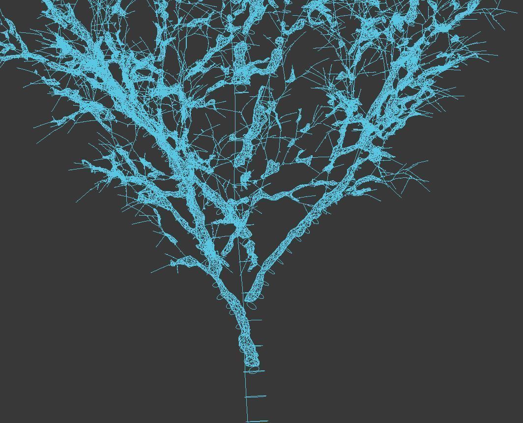 Common oak Nr4 H3-9m Winter Five tree set 3D model_5