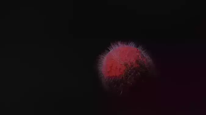 Virus cactus Free 3D model