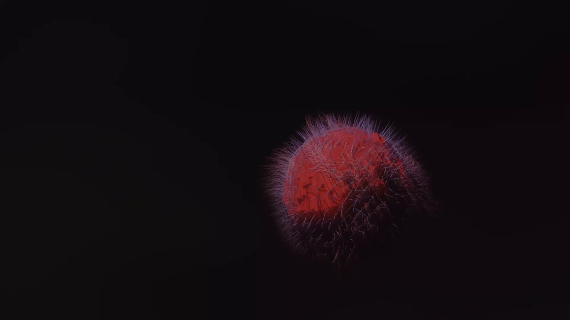 Virus cactus Free 3D model