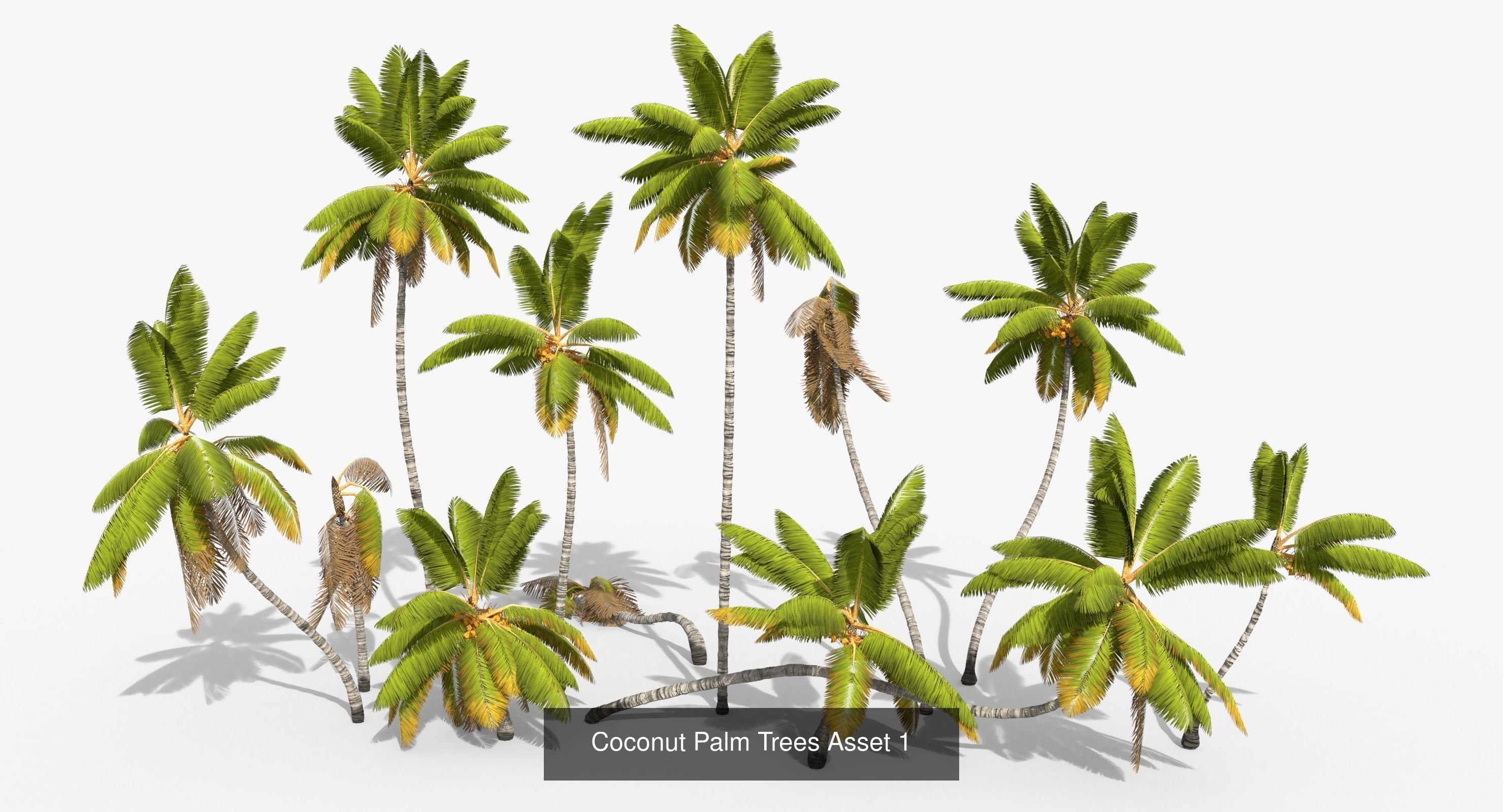 Caribbean Sea 16th Century 3D Model Collection_60