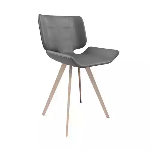  Astra Dining Chair by Nuevo