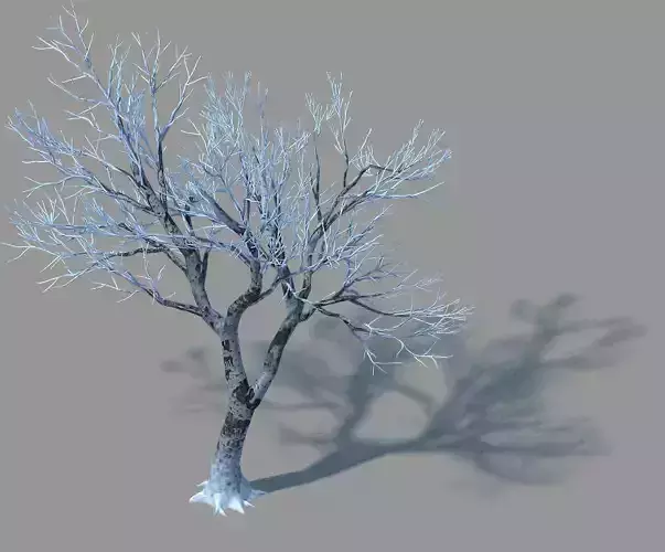 Garden-Garden-Tree 41