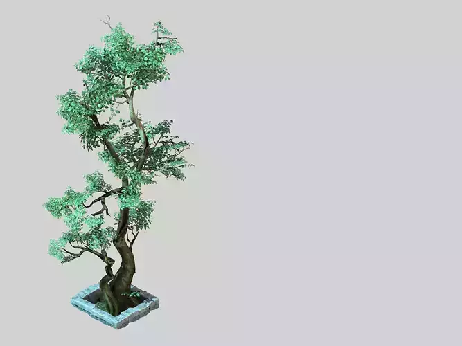 Garden-Garden-Tree 53