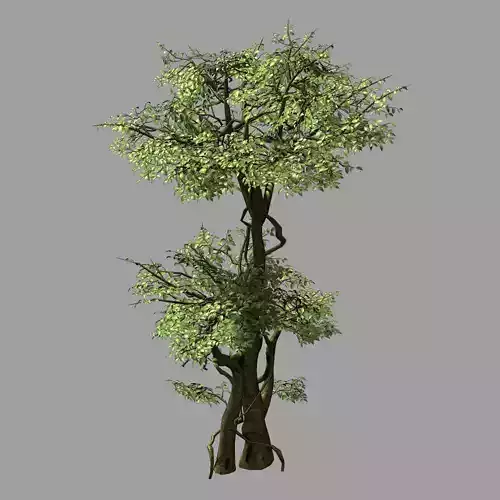 Garden-Garden-Tree 57