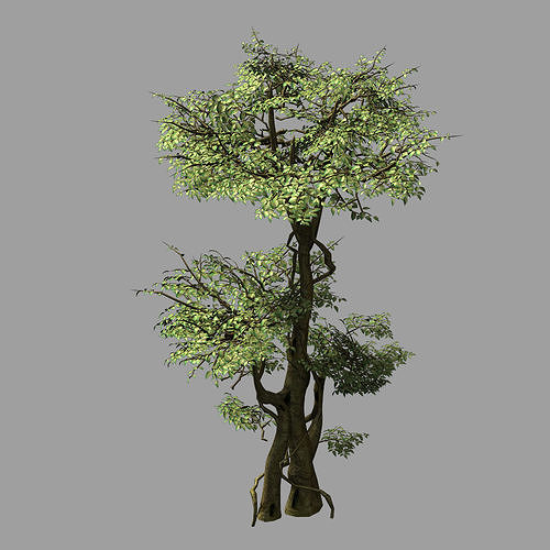 Garden-Garden-Tree 59 3D model