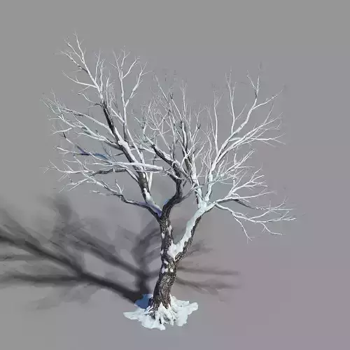 Garden-Garden-Tree 60