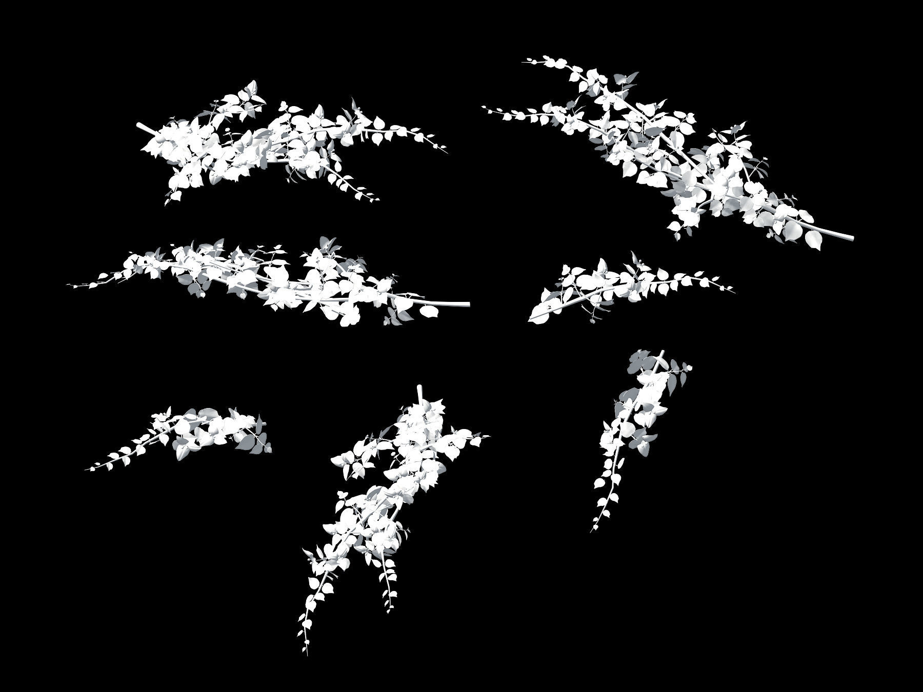 Plant-Bougainvillea flowers 3D model_2