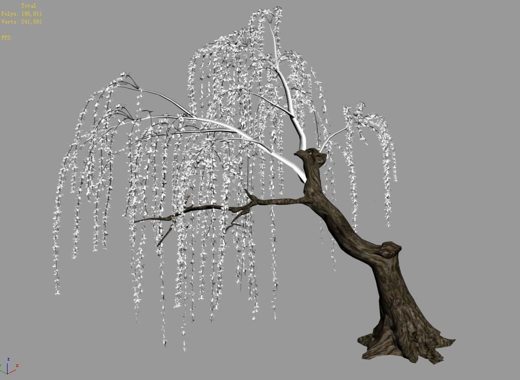 Plant-Forest-Weeping Willow 02 3D model_4