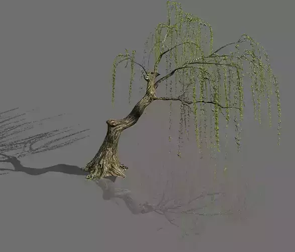 Plant-Forest-Weeping Willow 03