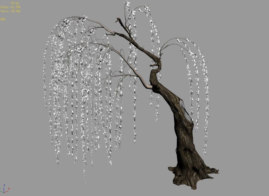 Plant-Forest-Weeping Willow 04 3D model_4
