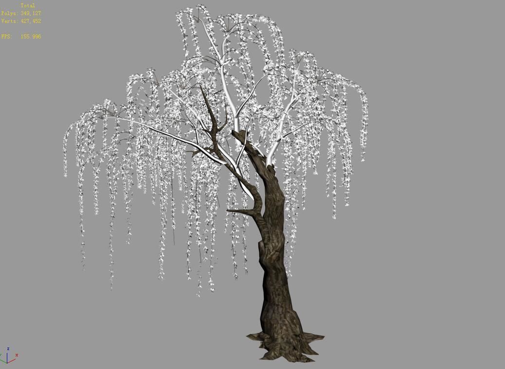 Plant-Forest-Weeping Willow 05 3D model_4