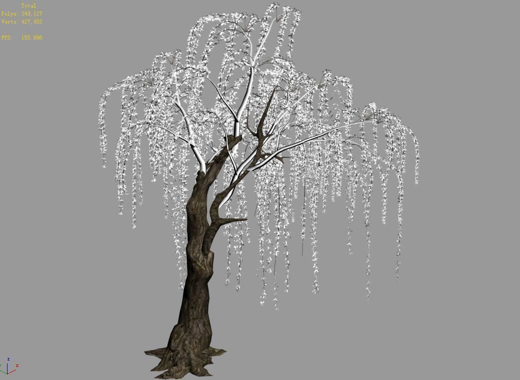 Plant-Forest-Weeping Willow 07 3D model_4