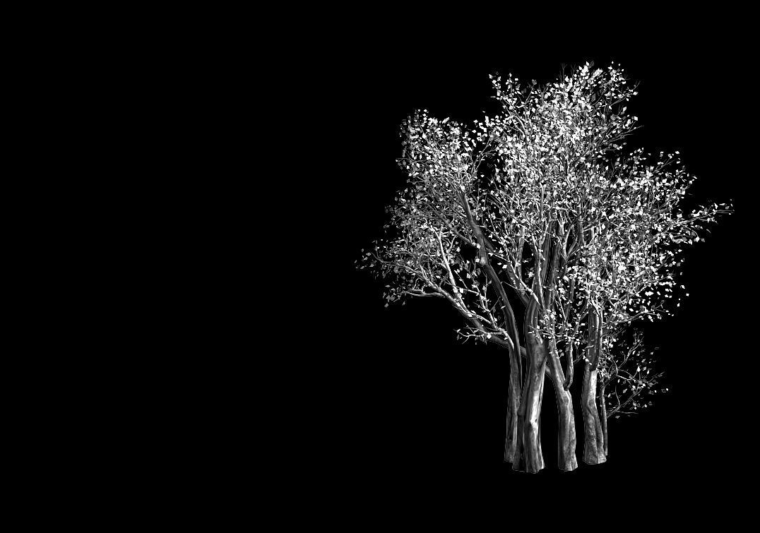 Plant-Forest-Big Tree 108 3D model_2