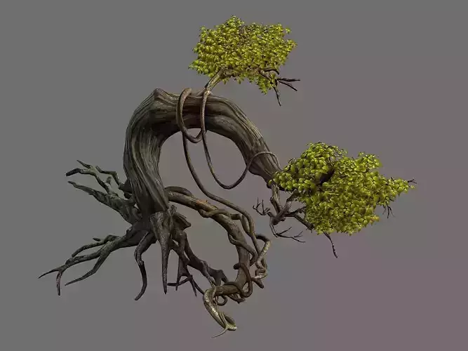 Plant-Forest-Big Tree 109