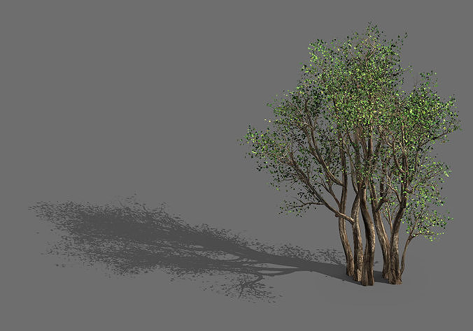 Plant-Forest-Big Tree 359 3D model
