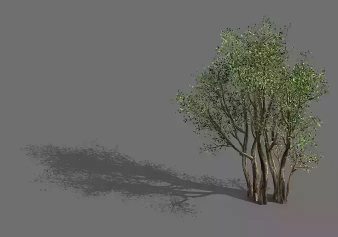 Plant-Forest-Big Tree 359 3D model