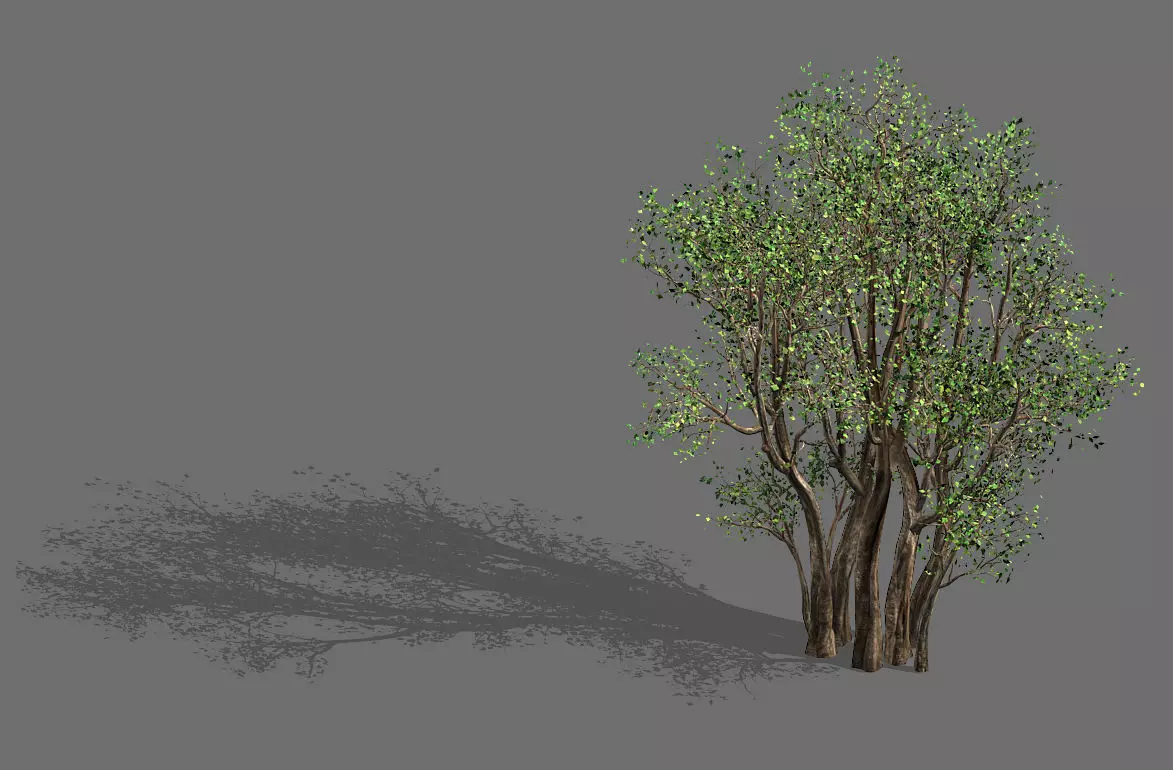 Plant-Forest-Big Tree 689 3D model_0