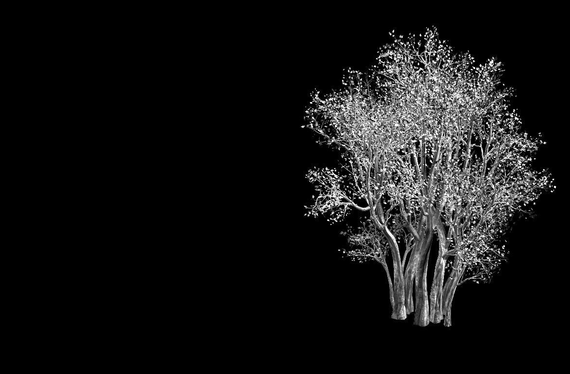 Plant-Forest-Big Tree 689 3D model_2