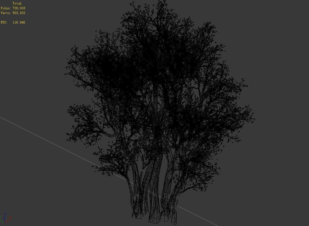 Plant-Forest-Big Tree 689 3D model_4