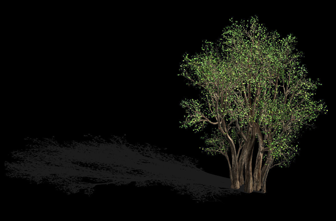 Plant-Forest-Big Tree 689 3D model_1