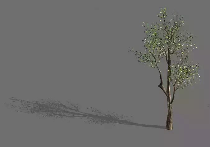 Plant-Forest-Big Tree 759