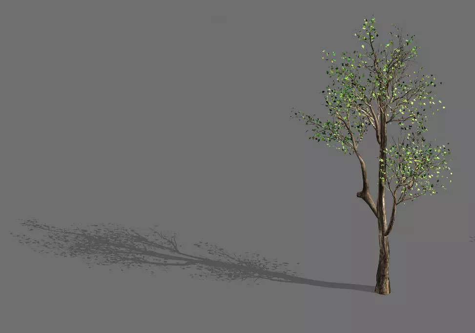 Plant-Forest-Big Tree 759 3D model_0