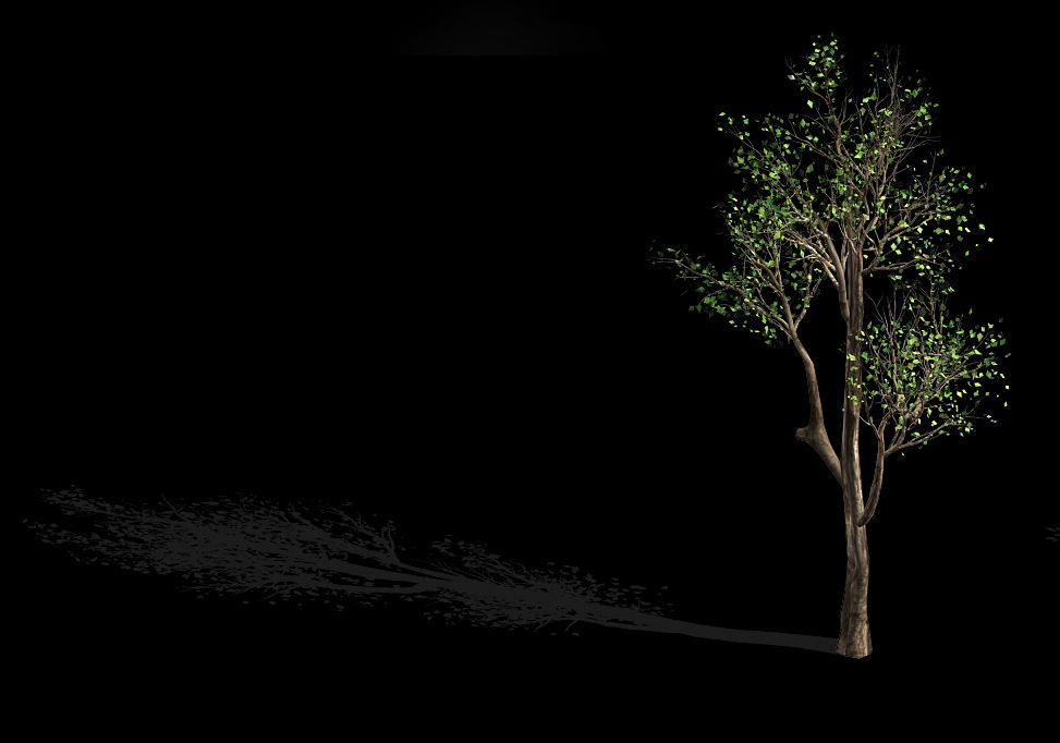 Plant-Forest-Big Tree 759 3D model_1
