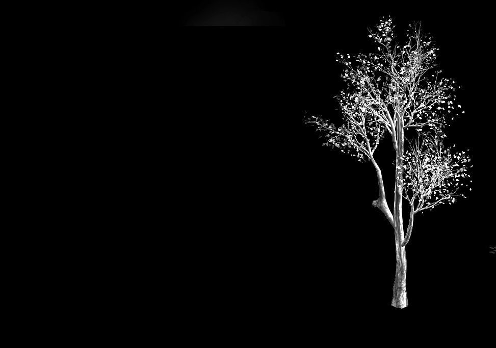 Plant-Forest-Big Tree 759 3D model_2