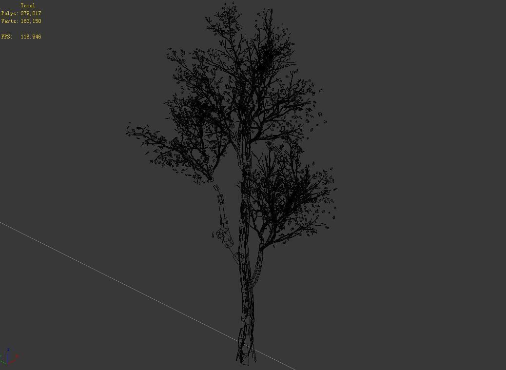 Plant-Forest-Big Tree 759 3D model_4
