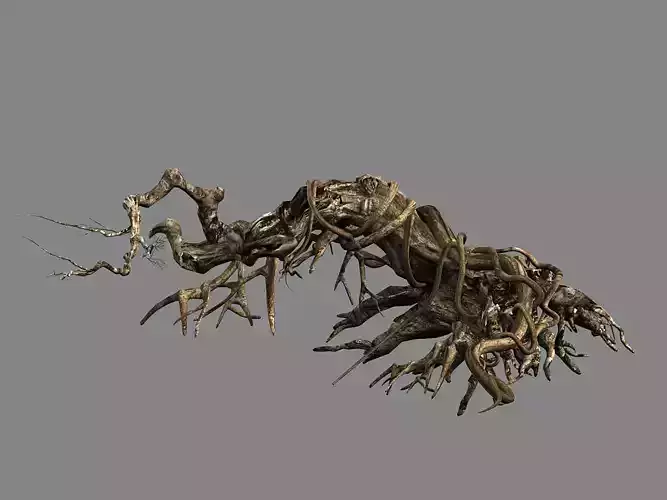 Plant-Forest-Dead Tree 119