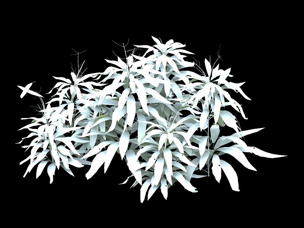 Bamboo Forest-Shrub 11 3D model_1