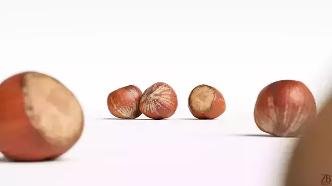 Hazelnut 3D model