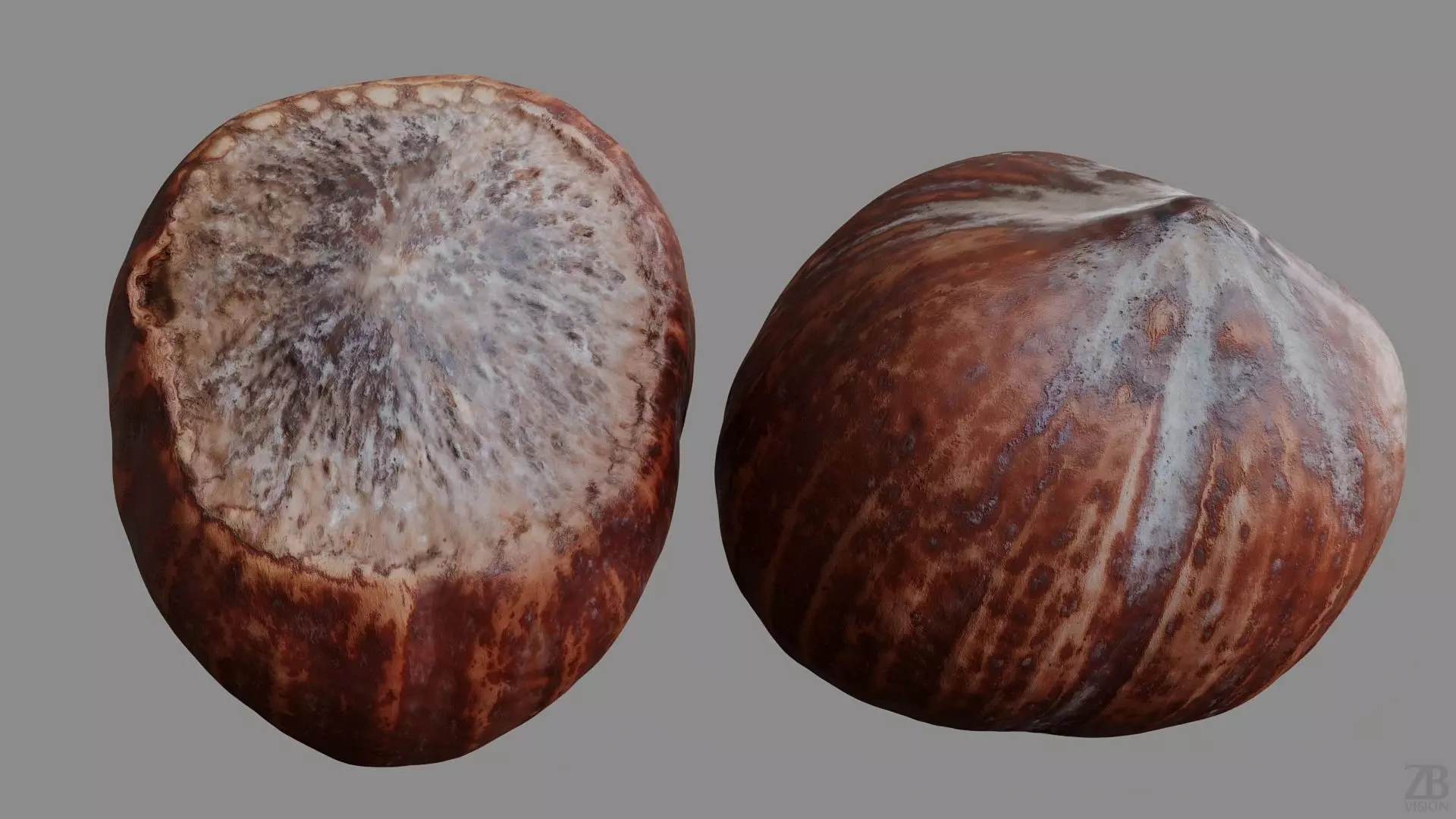 Hazelnut 3D model_8
