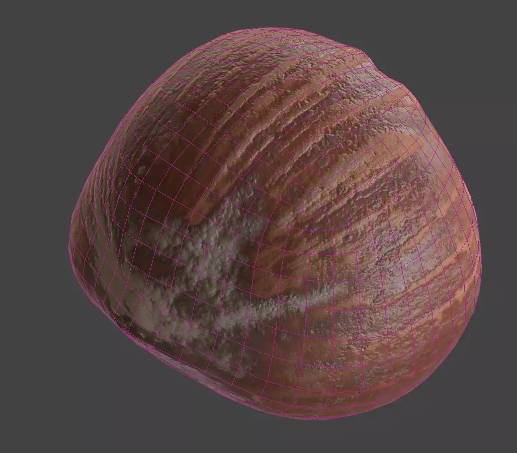 Hazelnut 3D model_6