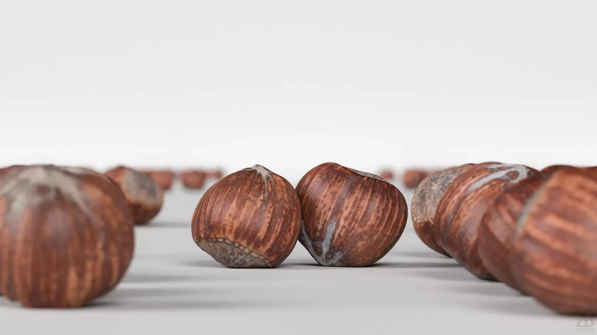 Hazelnut 3D model_1