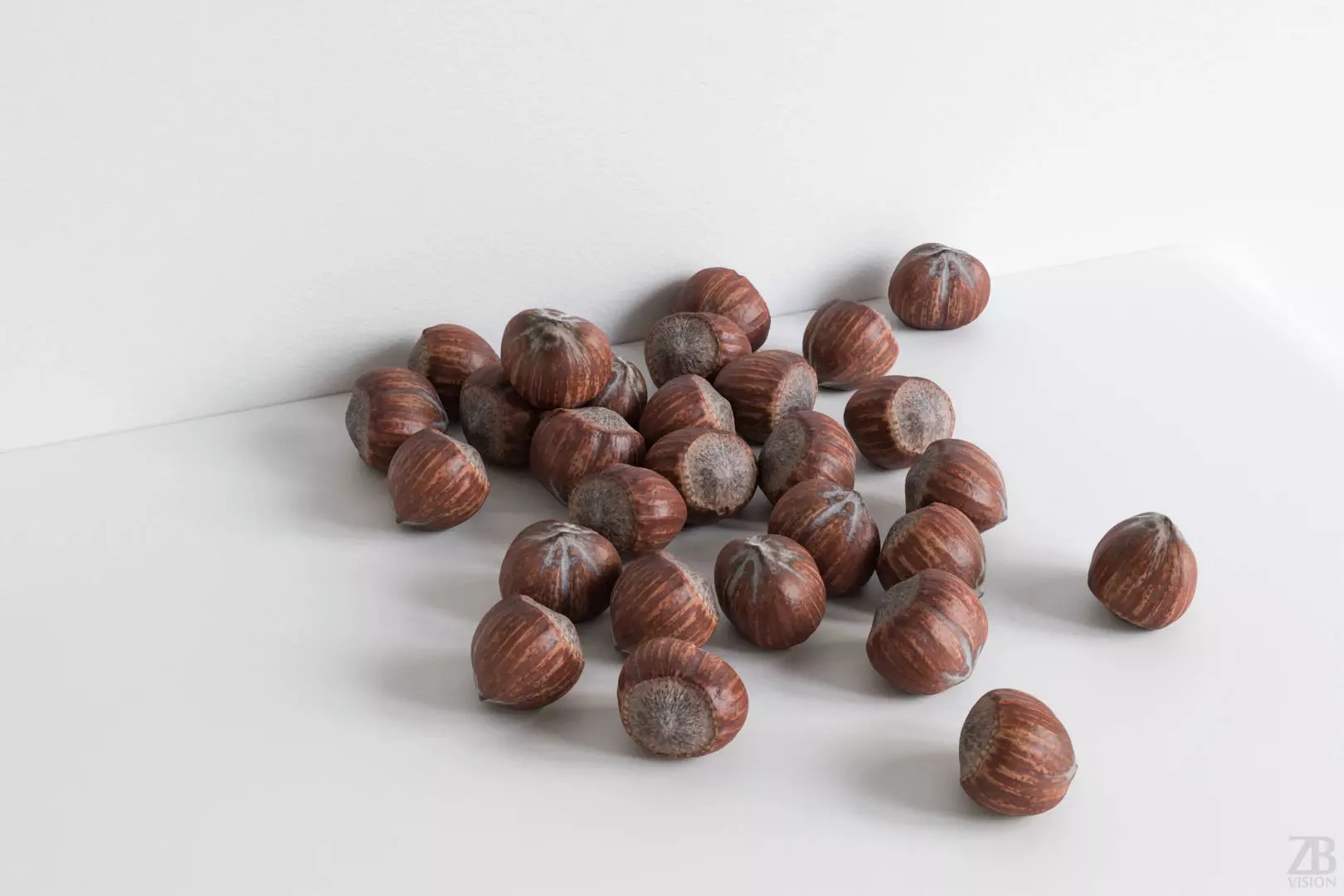 Hazelnut 3D model_0