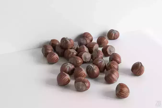 Hazelnut 3D model Hazelnut 3D model