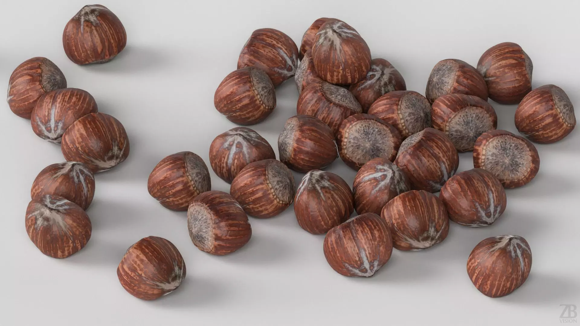 Hazelnut 3D model_2