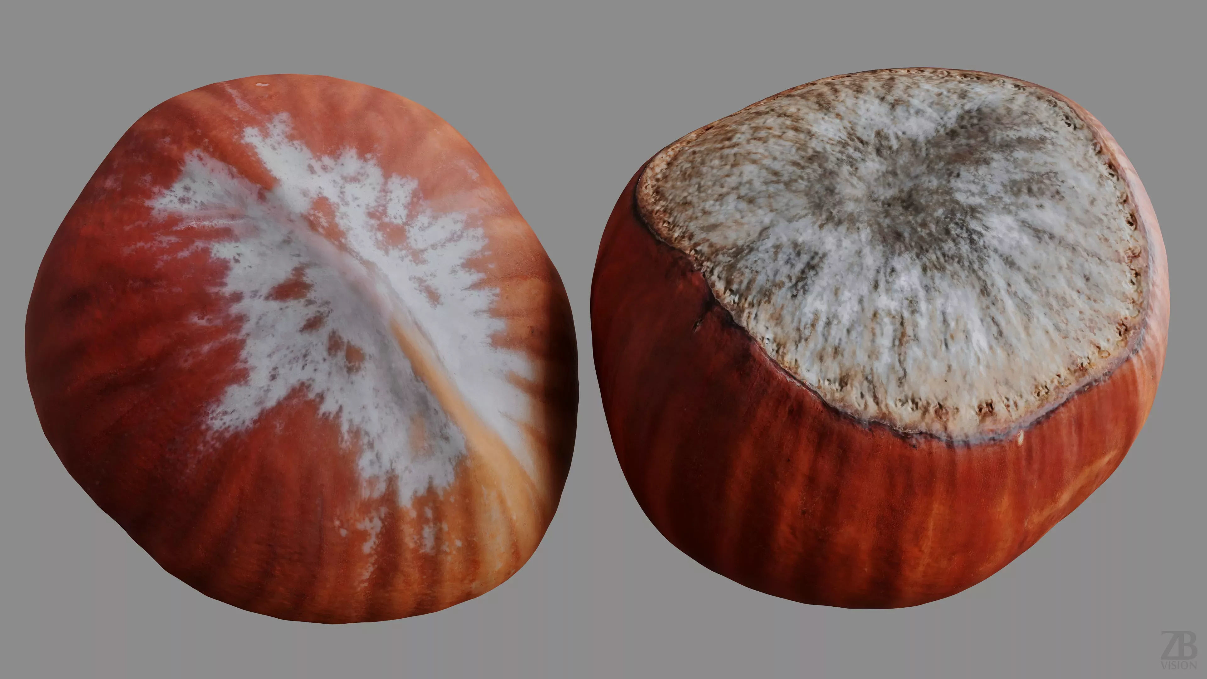 Hazelnut 3D model_9